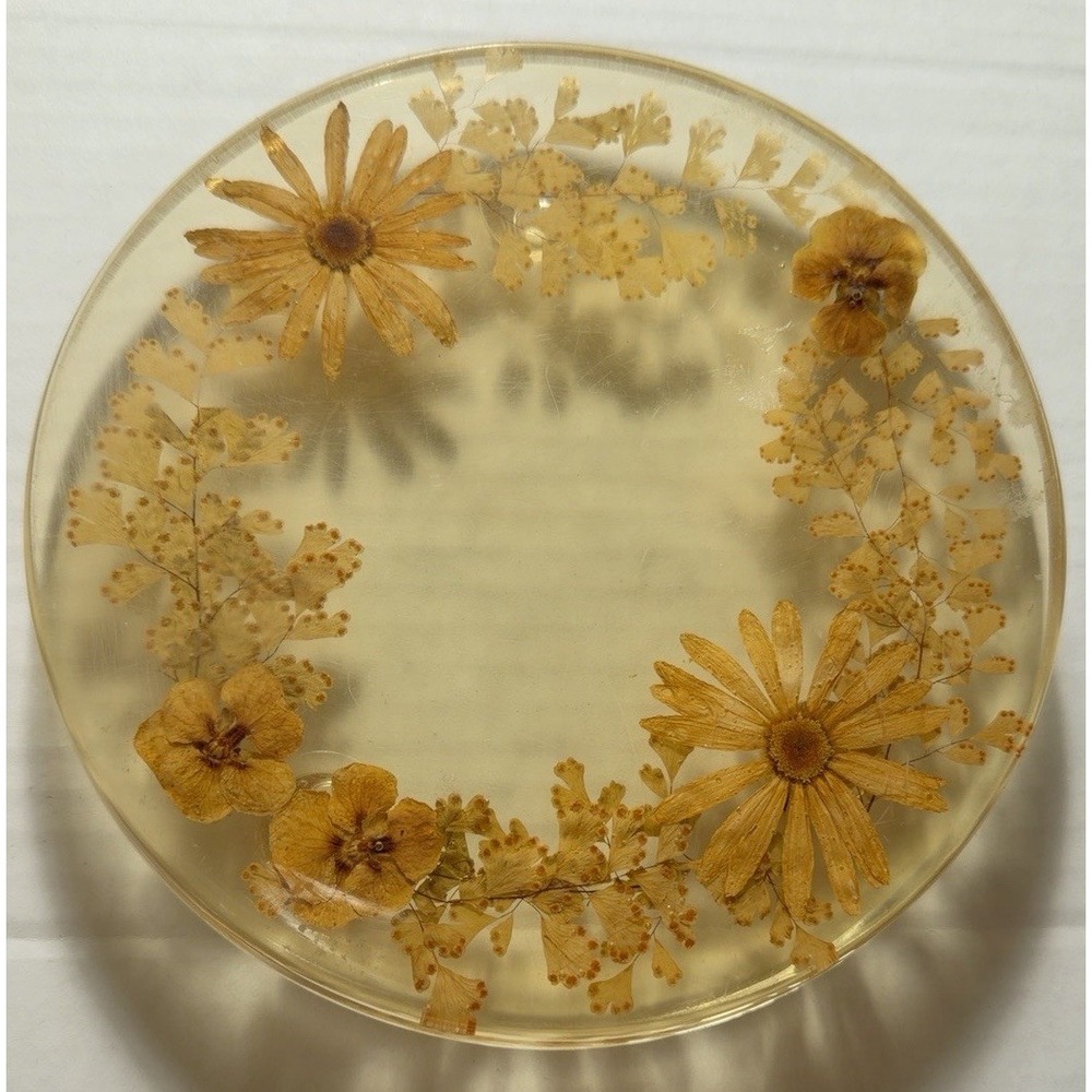 Vintage MCM Lucite Pressed Flower Footed Trivet Round Daisy Fern 1960s 70s